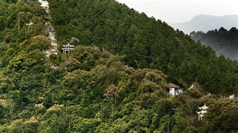 Dwelling in the Fuchun Mountains! A Masterpiece Exploring Serenity and Contemplation